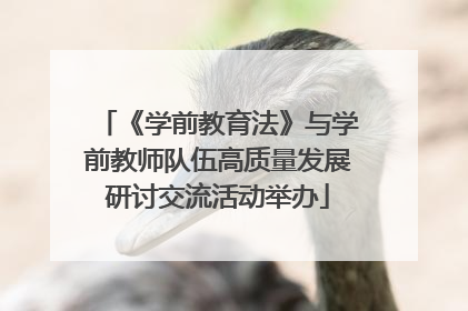 《学前教育法》与学前教师队伍高质量发展研讨交流活动举办
