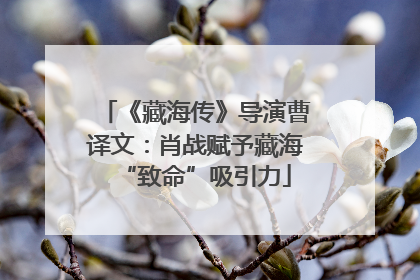 《藏海传》导演曹译文：肖战赋予藏海“致命”吸引力