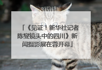 《见证！新华社记者陈燮镜头中的四川》新闻摄影展在蓉开幕