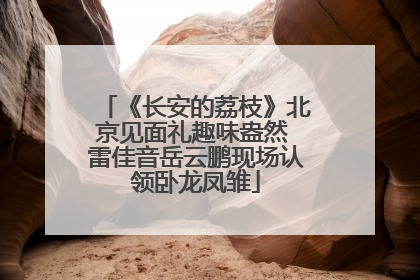 《长安的荔枝》北京见面礼趣味盎然 雷佳音岳云鹏现场认领卧龙凤雏