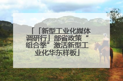 「新型工业化媒体调研行」部省政策“组合拳”激活新型工业化华东样板