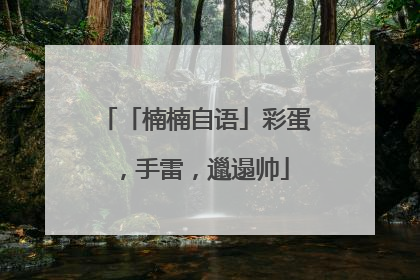 「楠楠自语」彩蛋，手雷，邋遢帅