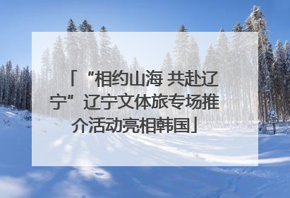 “相约山海 共赴辽宁”辽宁文体旅专场推介活动亮相韩国