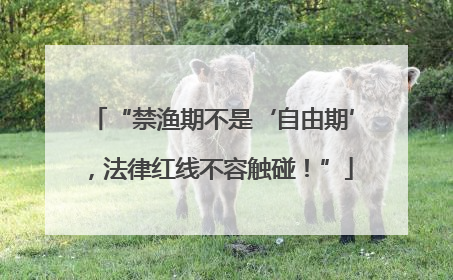 “禁渔期不是‘自由期’，法律红线不容触碰！”