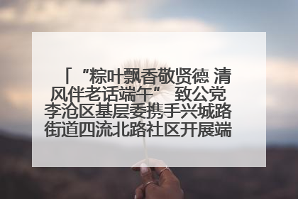 “粽叶飘香敬贤德 清风伴老话端午” 致公党李沧区基层委携手兴城路街道四流北路社区开展端午节主题活动