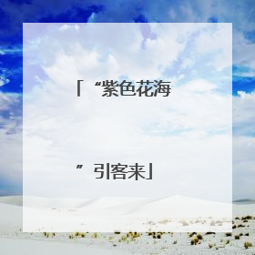 “紫色花海”引客来