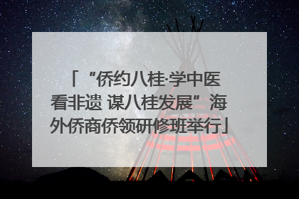 “侨约八桂·学中医 看非遗 谋八桂发展”海外侨商侨领研修班举行