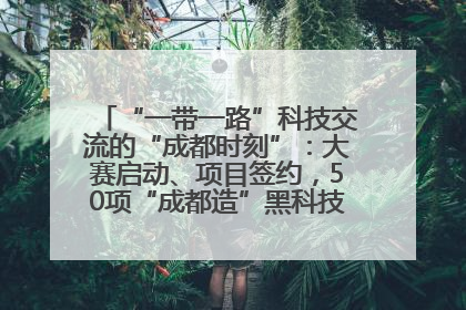 “一带一路”科技交流的“成都时刻”：大赛启动、项目签约，50项“成都造”黑科技吸引多国客商