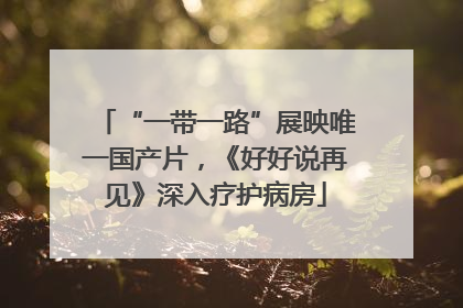 “一带一路”展映唯一国产片，《好好说再见》深入疗护病房