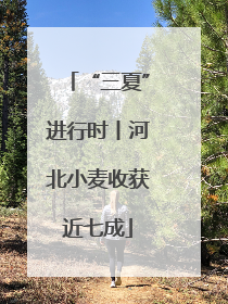 “三夏”进行时丨河北小麦收获近七成