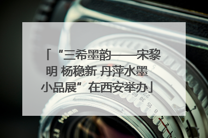 “三希墨韵——宋黎明 杨稳新 丹萍水墨小品展”在西安举办
