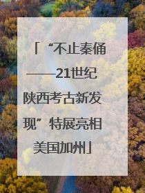 “不止秦俑——21世纪陕西考古新发现”特展亮相美国加州