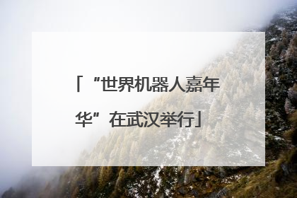 “世界机器人嘉年华”在武汉举行