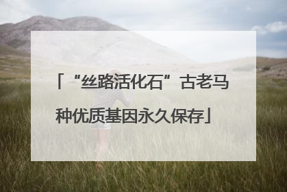 “丝路活化石”古老马种优质基因永久保存