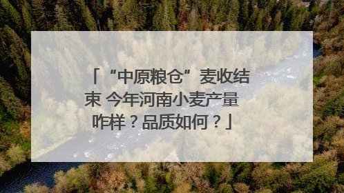 “中原粮仓”麦收结束 今年河南小麦产量咋样？品质如何？