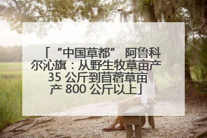 “中国草都” 阿鲁科尔沁旗：从野生牧草亩产 35 公斤到苜蓿草亩产 800 公斤以上