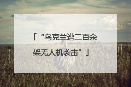 “乌克兰遭三百余架无人机袭击”