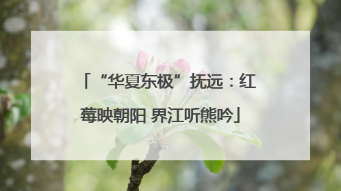 “华夏东极”抚远：红莓映朝阳 界江听熊吟