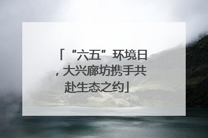 “六五”环境日，大兴廊坊携手共赴生态之约