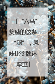 “六马”奖励的这条“腿”，风味比奖牌还厚重