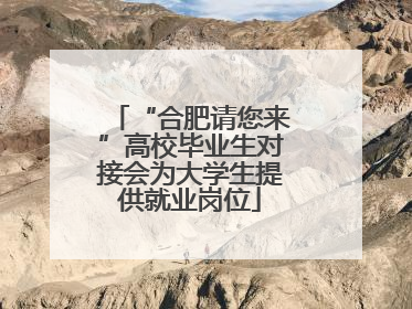 “合肥请您来”高校毕业生对接会为大学生提供就业岗位