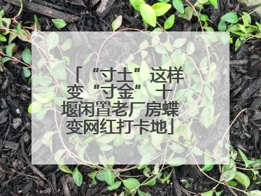 “寸土”这样变“寸金” 十堰闲置老厂房蝶变网红打卡地