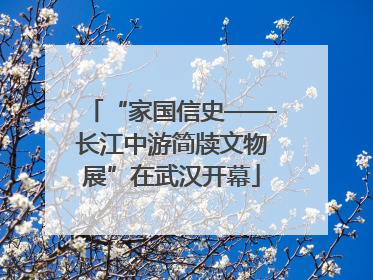 “家国信史——长江中游简牍文物展”在武汉开幕