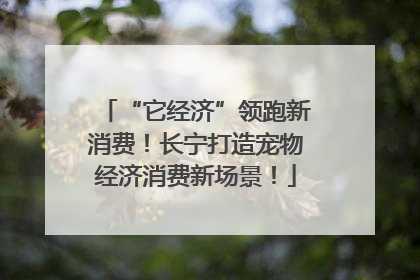 “它经济”领跑新消费！长宁打造宠物经济消费新场景！