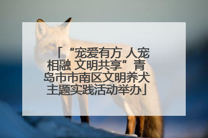 “宠爱有方 人宠相融 文明共享”青岛市市南区文明养犬主题实践活动举办