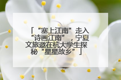 “塞上江南”走入“诗画江南”，宁夏文旅邀在杭大学生探秘“星星故乡”