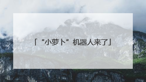 “小萝卜”机器人来了