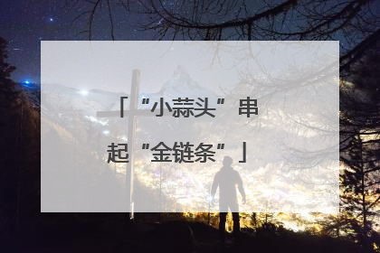 “小蒜头”串起“金链条”