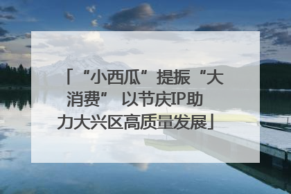 “小西瓜”提振“大消费” 以节庆IP助力大兴区高质量发展
