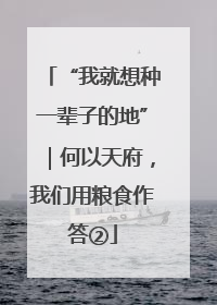 “我就想种一辈子的地”｜何以天府，我们用粮食作答②