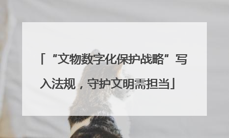 “文物数字化保护战略”写入法规，守护文明需担当