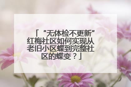 “无体检不更新”红梅社区如何实现从老旧小区蝶到完整社区的蝶变？