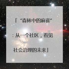 “森林中的麻雀”：从一个社区，看见社会治理的未来