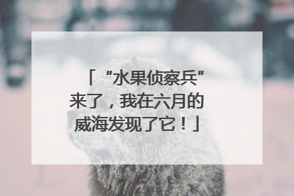 “水果侦察兵”来了，我在六月的威海发现了它！