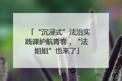 “沉浸式”法治实践课护航青春，“法姐姐”也来了