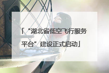 “湖北省低空飞行服务平台”建设正式启动