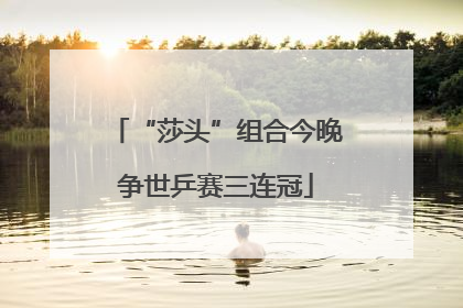 “莎头”组合今晚争世乒赛三连冠