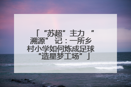“苏超”主力 “溯源” 记：一所乡村小学如何炼成足球 “造星梦工场”