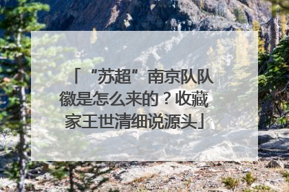 “苏超”南京队队徽是怎么来的？收藏家王世清细说源头
