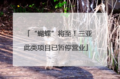 “蝴蝶”将至！三亚此类项目已暂停营业