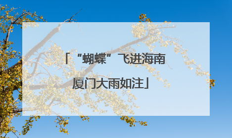 “蝴蝶”飞进海南 厦门大雨如注