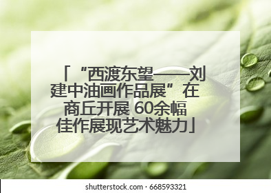 “西渡东望——刘建中油画作品展”在商丘开展 60余幅佳作展现艺术魅力