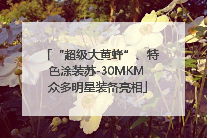 “超级大黄蜂”、特色涂装苏-30MKM 众多明星装备亮相