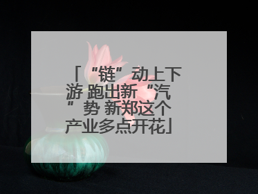 “链”动上下游 跑出新“汽”势 新郑这个产业多点开花