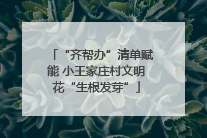 “齐帮办”清单赋能 小王家庄村文明花“生根发芽”