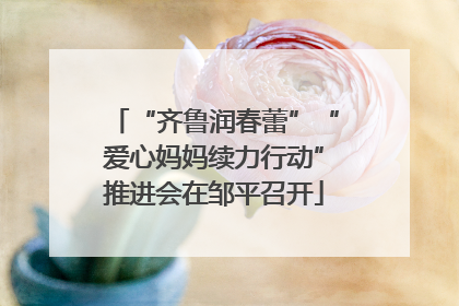 “齐鲁润春蕾”“爱心妈妈续力行动”推进会在邹平召开